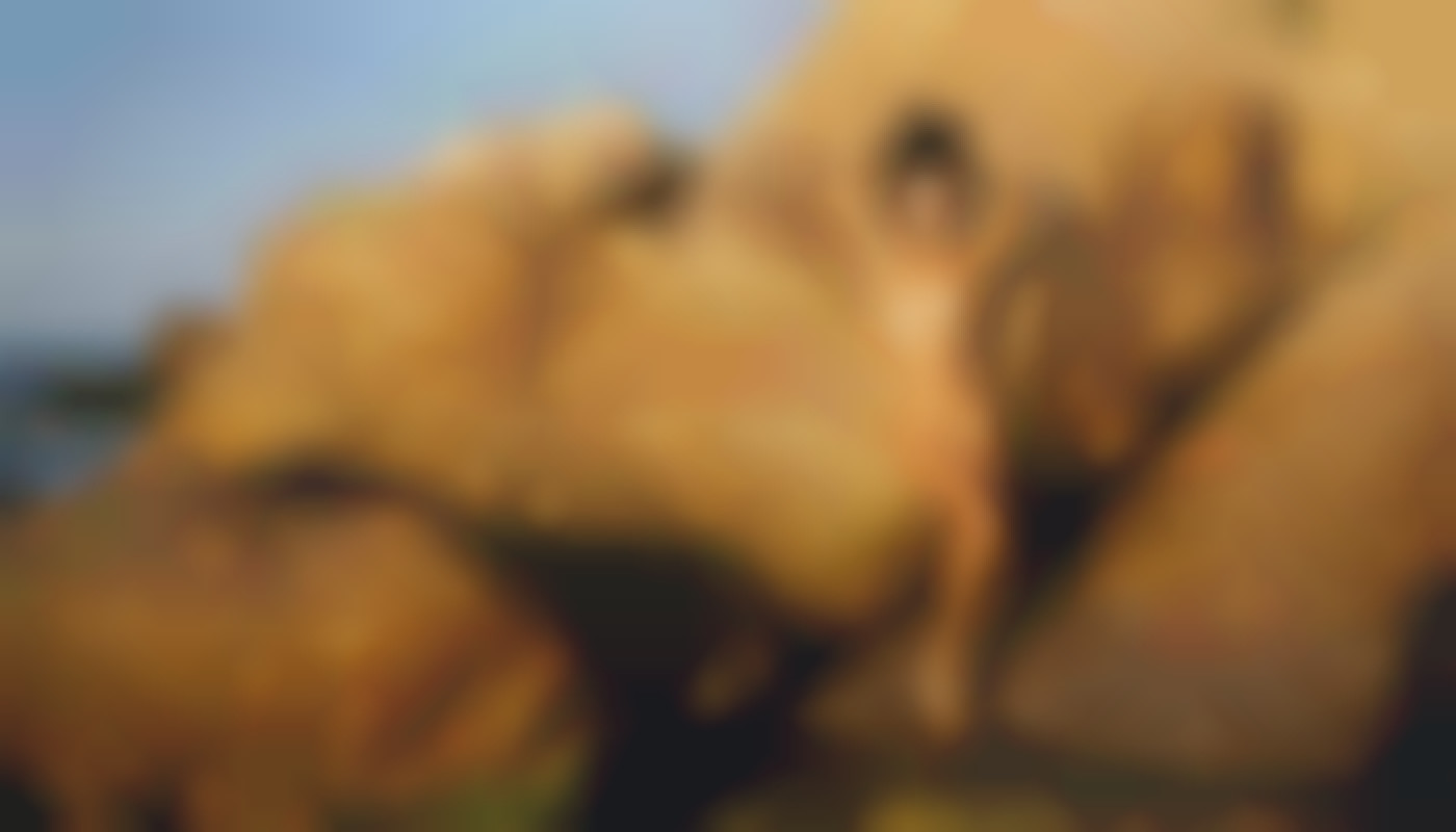 Exploring The Impact Of System Requirements On Mobile Adult Gaming